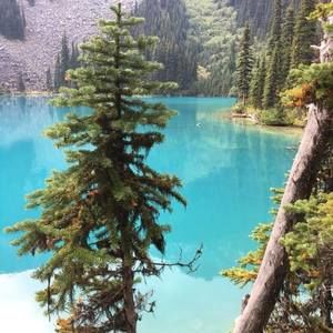 Meet your Posher, Lila